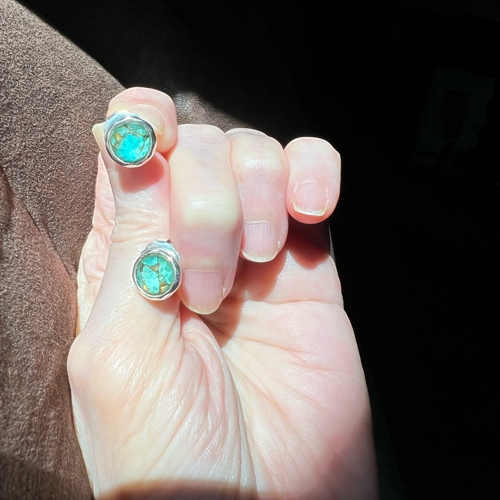 Ippolita Wonderland Sterling Silver Lollipop stud
Earrings in Bronze Turquoise